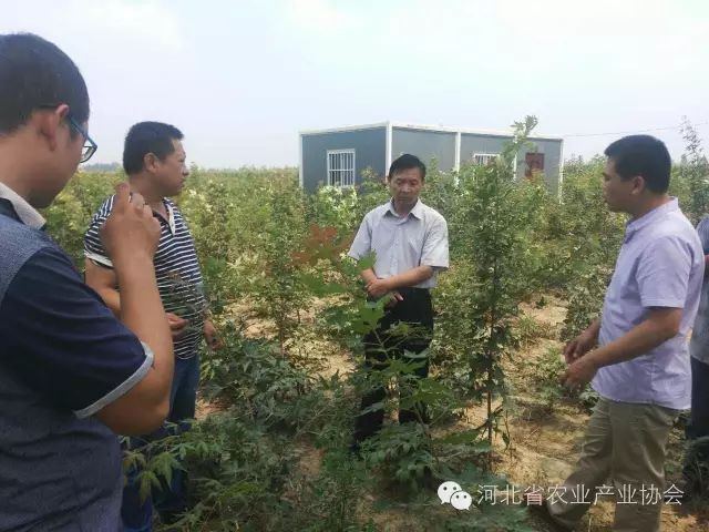 孫悅明會長等協會領導到安平縣會員單位調研， 取得良好效果