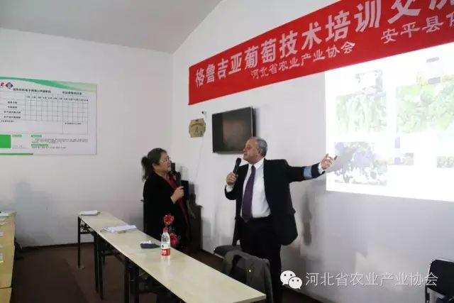 格魯吉亞葡萄專(zhuān)家來(lái)河北技術(shù)指導(dǎo)