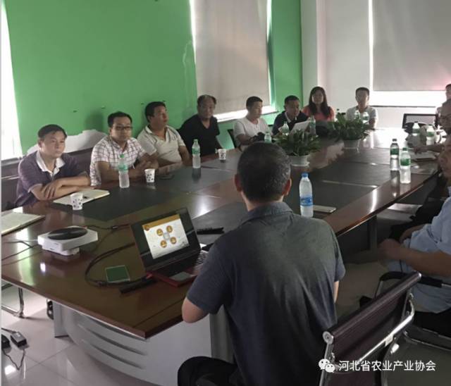 河北省農(nóng)業(yè)產(chǎn)業(yè)協(xié)會(huì)組織會(huì)員考察夢鄉(xiāng)小鎮(zhèn)情況