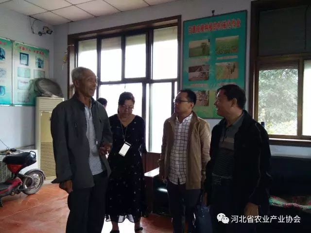 孫悅明會(huì)長等領(lǐng)導(dǎo)赴晉州聽取薯業(yè)專委工作匯報(bào)， 并進(jìn)行調(diào)研