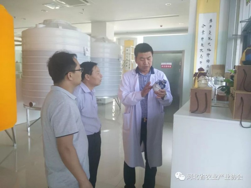 孫悅明會長應邀到石家莊國莓雅潔生物實驗室有限公司走訪調(diào)研