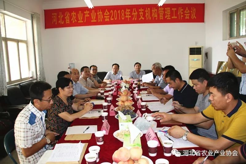 河北省農(nóng)業(yè)產(chǎn)業(yè)協(xié)會分支機構(gòu)管理工作會議順利召開