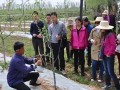 蘋果拉枝有技巧，這些竅門要記牢！不懂別亂拉！