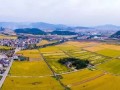 鄉(xiāng)村振興法已啟動立法相關(guān)程序，2020年前有望發(fā)布