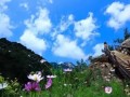 河北要建100個旅游特色小鎮(zhèn)，有你家鄉(xiāng)嗎？