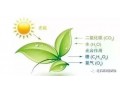 作物長(zhǎng)不好，90%都是缺碳造成的，不信你看！