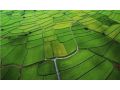 高標(biāo)準(zhǔn)農(nóng)田建設(shè)是啥？居然能讓收入翻倍！
