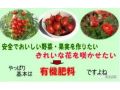 從農(nóng)藥減量到有機(jī)農(nóng)業(yè)，日本比我們領(lǐng)先至少半個(gè)世紀(jì)