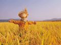 這15項(xiàng)補(bǔ)貼即將截止，錯(cuò)過就要再等一年了！