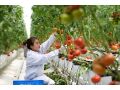 @農(nóng)民朋友，想增收致富嗎？高素質(zhì)農(nóng)民培養(yǎng)來了！