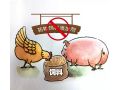 飼料“禁抗”新政出臺，行業(yè)準備好了嗎？