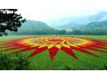 做大做強(qiáng)！我省將重點(diǎn)抓好這7大類24種農(nóng)業(yè)優(yōu)勢(shì)特色產(chǎn)業(yè)